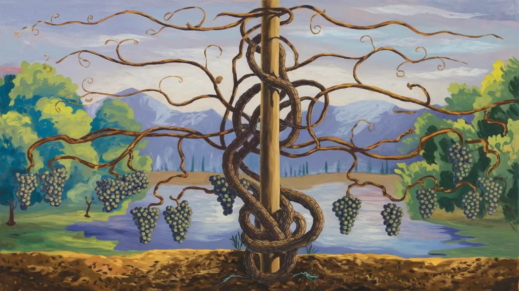 Grapevine with branches and fruit.